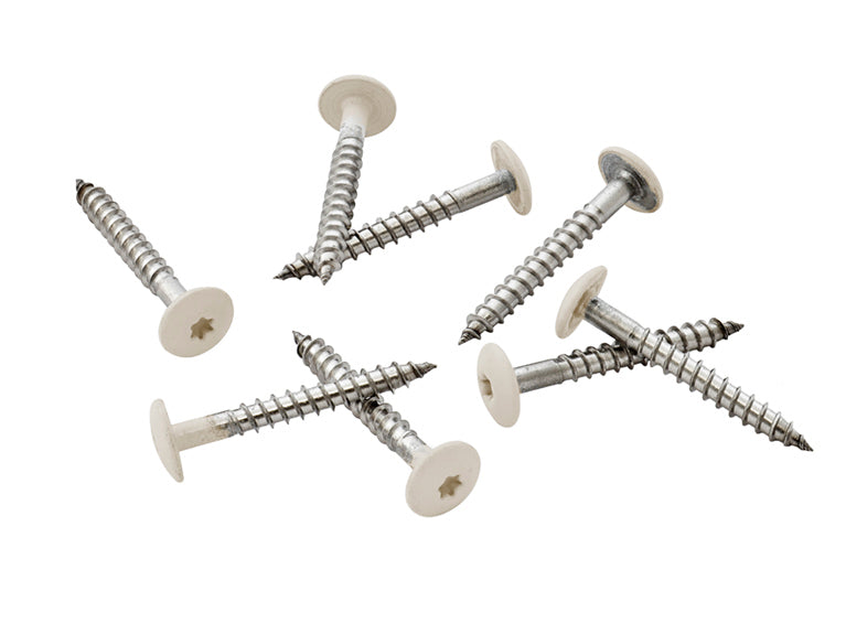 39mm Stainless Steel Screw + Bit Cream