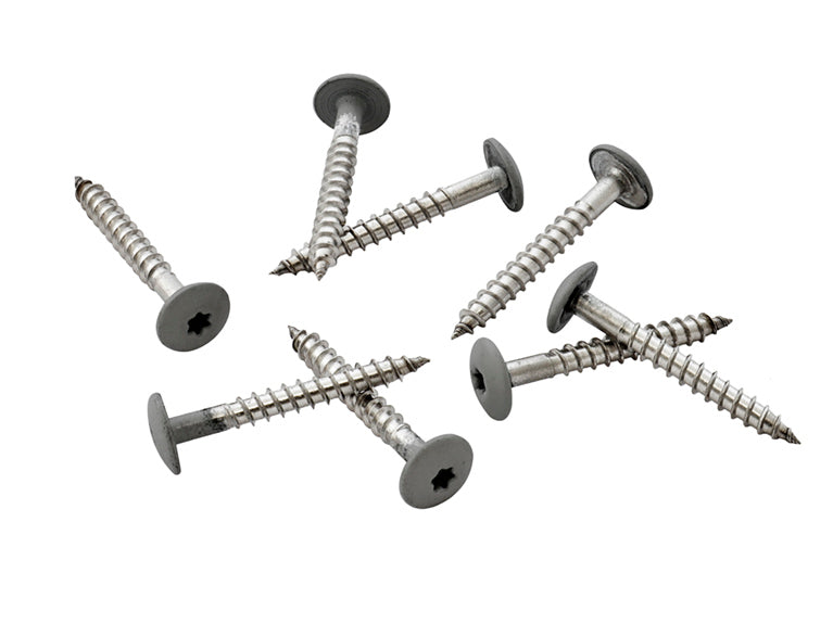 39mm Stainless Steel Screw + Bit Granite