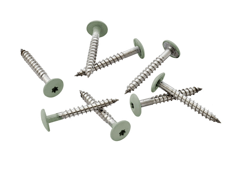 39mm Stainless Steel Screw + Bit Sage Green