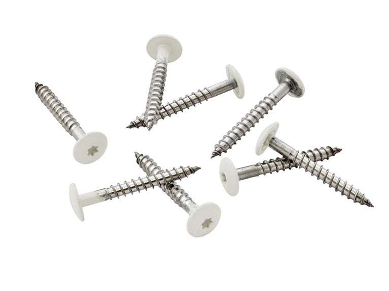 39mm Stainless Steel Screw + Bit White